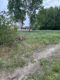 Działka rekreacyjna Orzechów-Kolonia. Zdjęcie 3