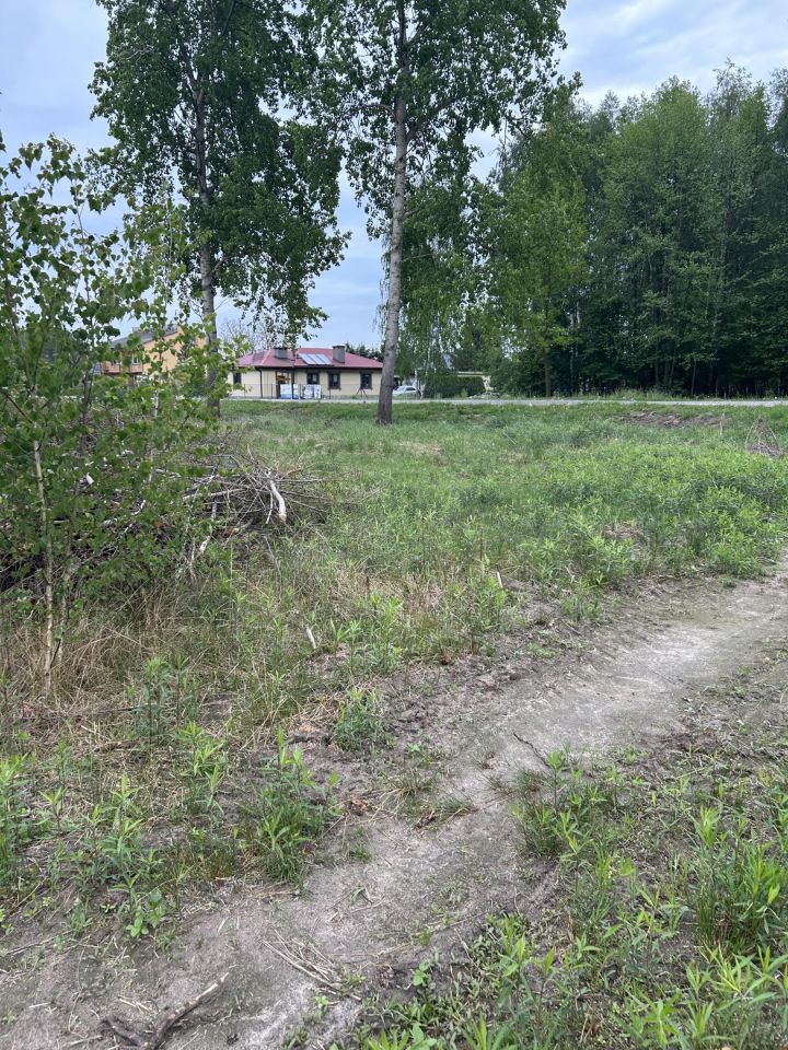 Działka rekreacyjna Orzechów-Kolonia. Zdjęcie 4