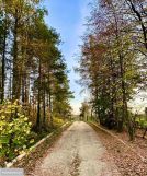 Działka budowlana Uciechów. Zdjęcie 3