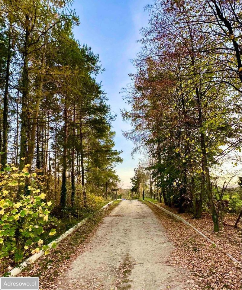 Działka budowlana Uciechów. Zdjęcie 4