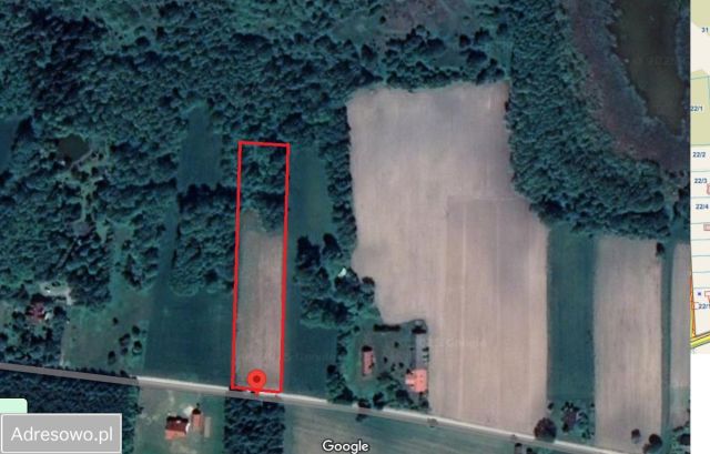 Działka budowlana Orzechówka. Zdjęcie 1