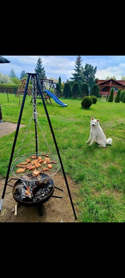 Działka rod Piła, al. Wojska Polskiego. Zdjęcie 4
