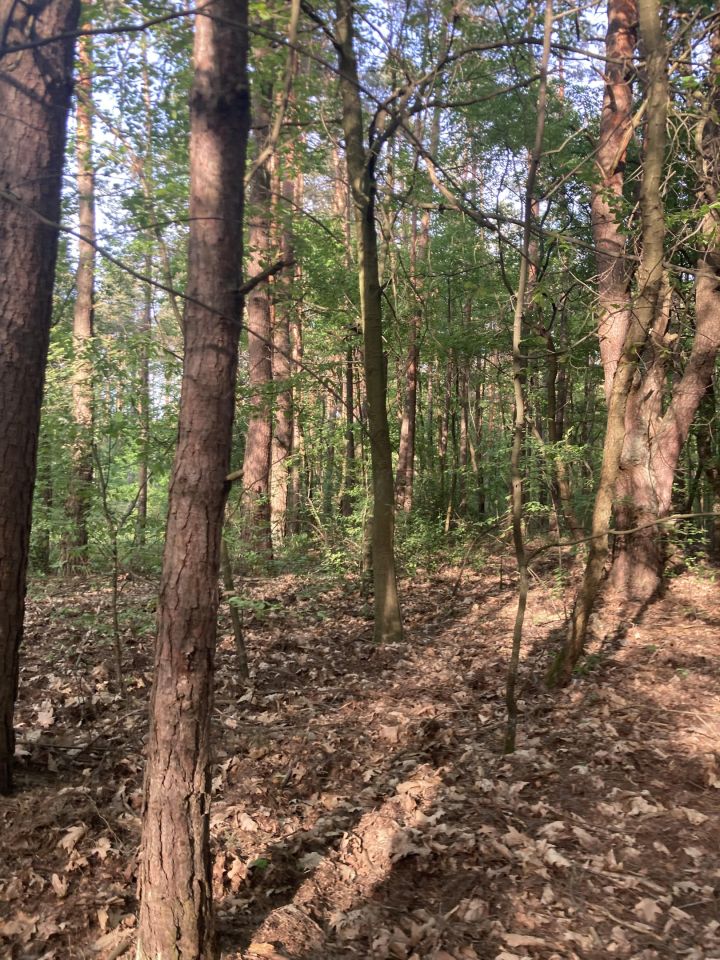 Działka budowlana Otwock Soplicowo, ul. Łowiecka. Zdjęcie 16