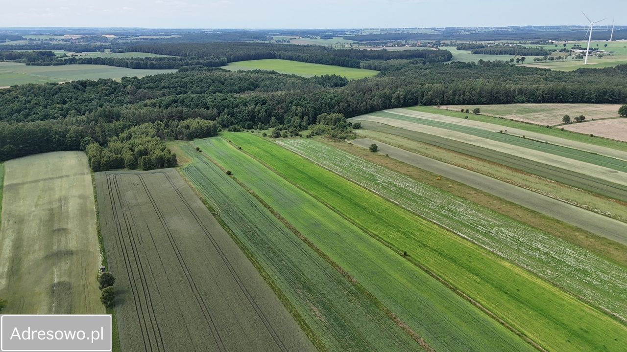 Działka rolna Kaczkowo. Zdjęcie 4