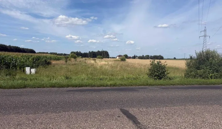 Działka rolno-budowlana Nieborów