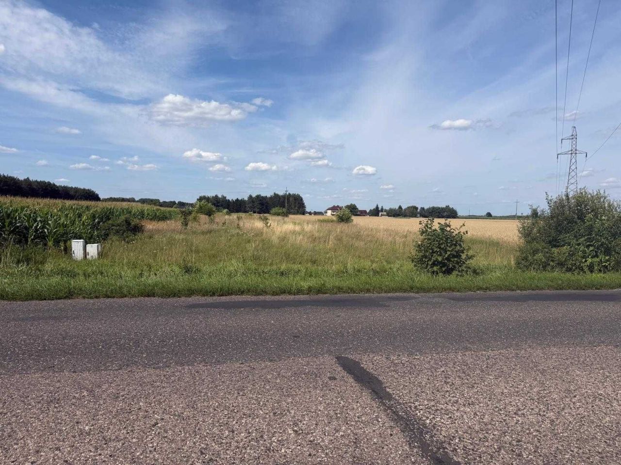 Działka rolno-budowlana Nieborów. Zdjęcie 1