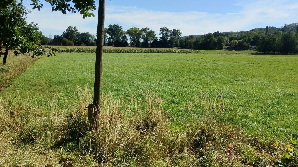 Działka rolna Ścinawka Dolna. Zdjęcie 4