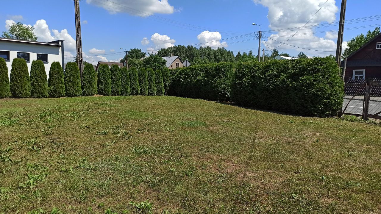 siedlisko Nowosady. Zdjęcie 4