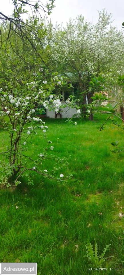 Działka rod Balice, ul. Sportowa. Zdjęcie 4