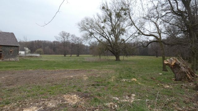 Działka rolno-budowlana Centawa, ul. Powstańców Śląskich. Zdjęcie 3
