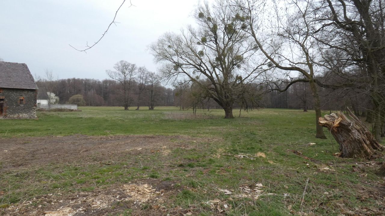 Działka rolno-budowlana Centawa, ul. Powstańców. Zdjęcie 4