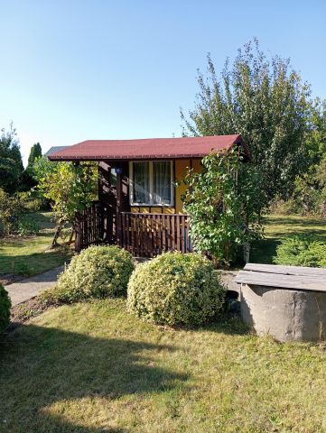 Działka rod Płock Radziwie. Zdjęcie 1