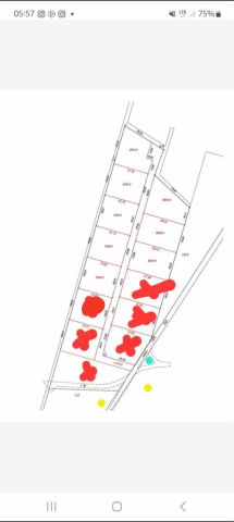 Działka rolno-budowlana Stanisławów. Zdjęcie 5