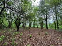 Działka budowlana Szadki. Zdjęcie 3