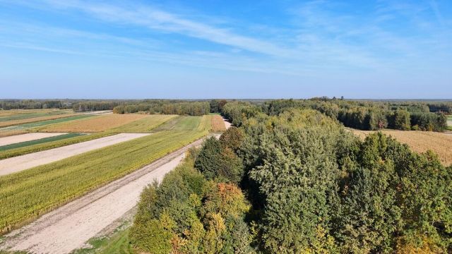 Działka Gwizdów. Zdjęcie 4