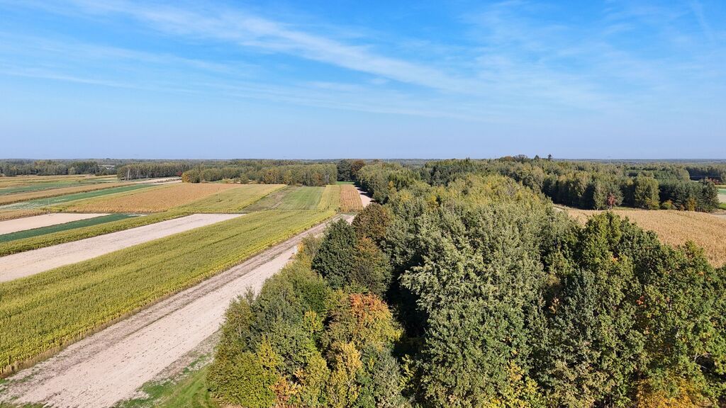 Działka Gwizdów. Zdjęcie 4