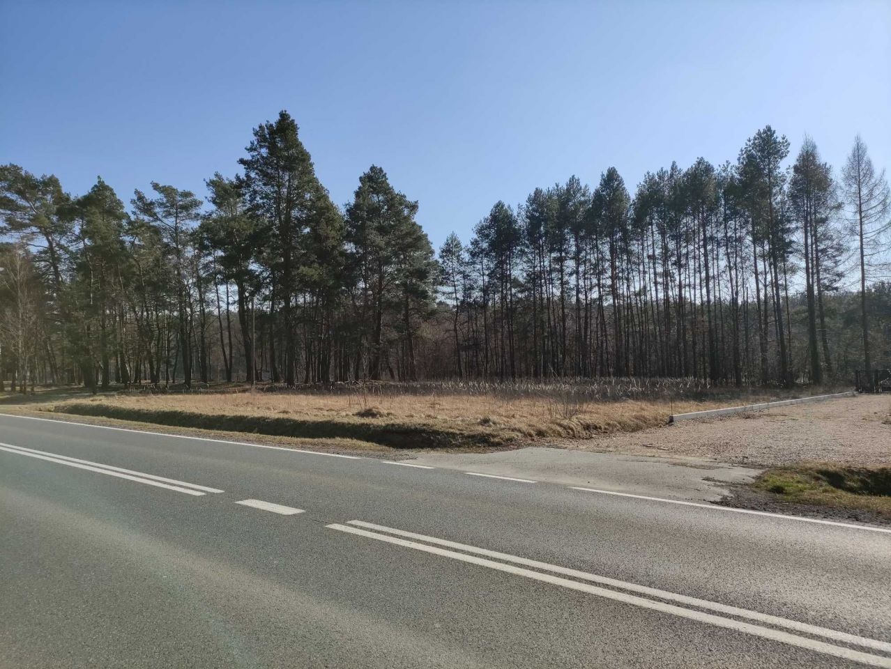 Działka rolno-budowlana Teofilów