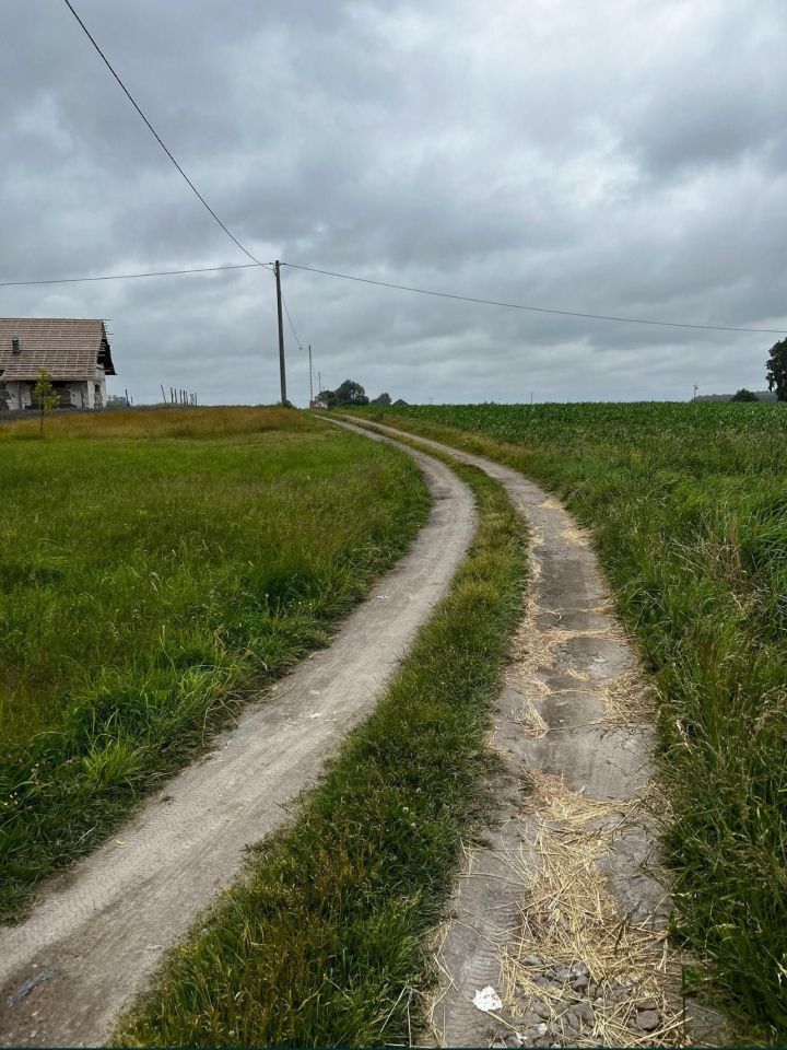 Działka rolna Rumunki Witkowskie. Zdjęcie 6