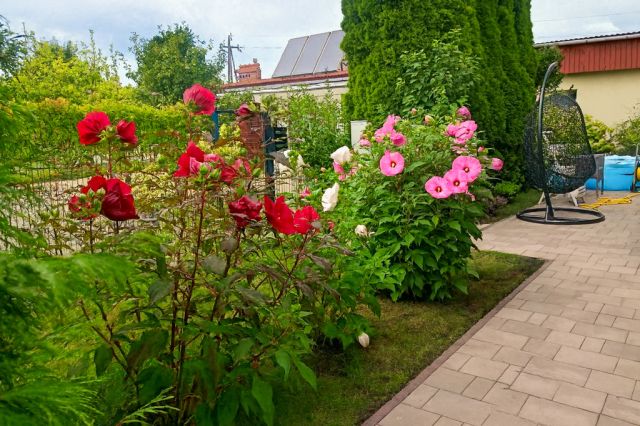 bliźniak, 4 pokoje Radymno, ul. Złota Góra. Zdjęcie 8