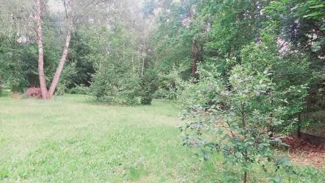 Działka budowlana Złotokłos. Zdjęcie 20