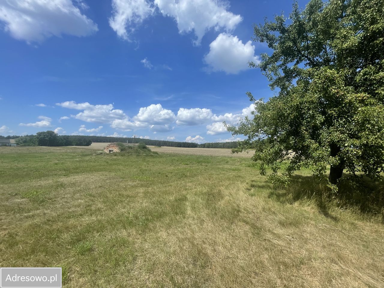 Działka budowlana Chełmsko. Zdjęcie 3