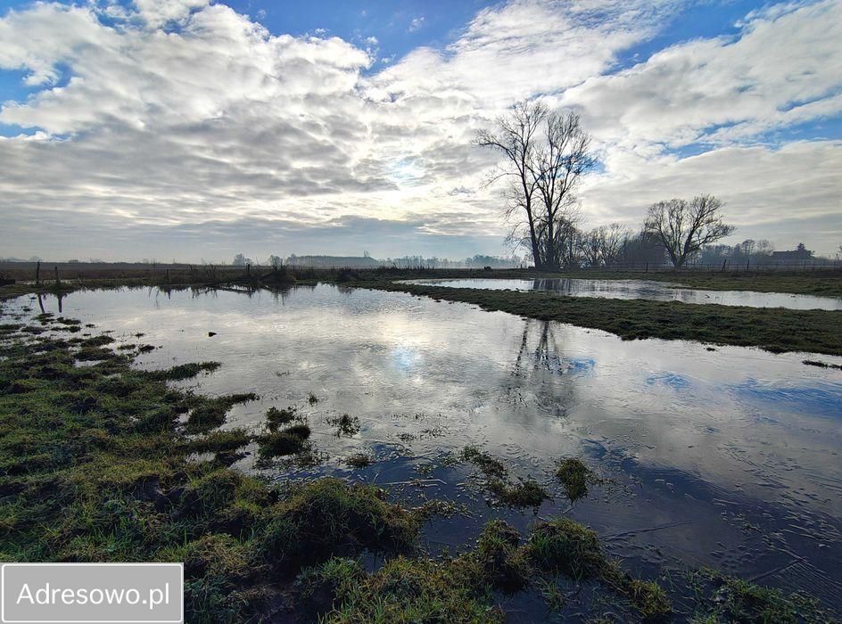 Działka siedliskowa Bałdrzychów. Zdjęcie 10