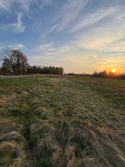Działka rolno-budowlana Zgierz Proboszczewice. Zdjęcie 3