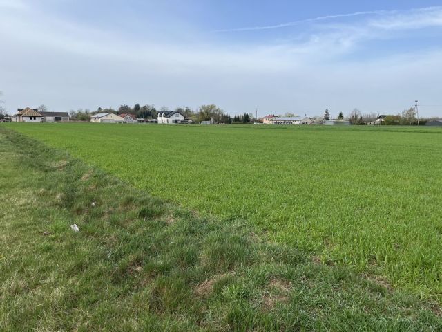 Działka budowlana Lelice. Zdjęcie 1