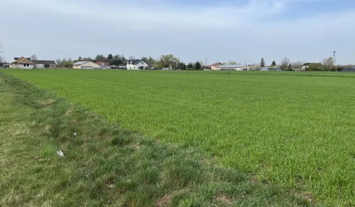 Działka budowlana Lelice