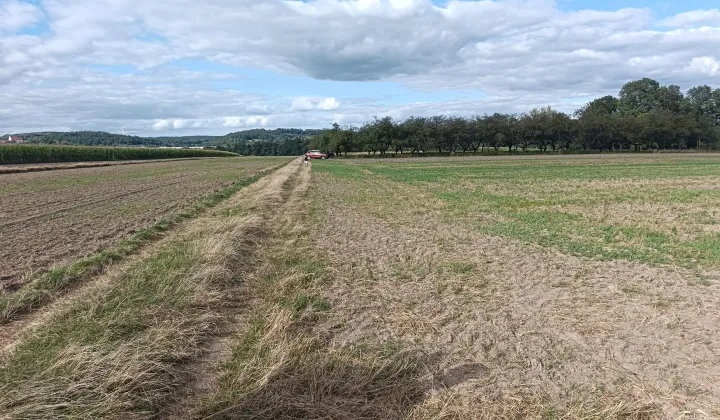 Działka rolna Morawica