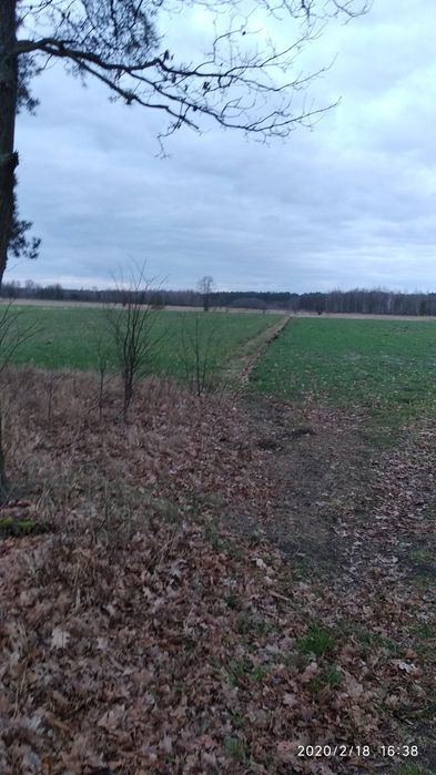 Działka inwestycyjna Księżyki. Zdjęcie 2