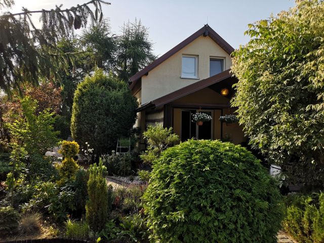 Działka rod Żurczyn. Zdjęcie 1