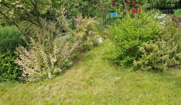 Działka rod Wrocław Krzyki, ul. Bardzka