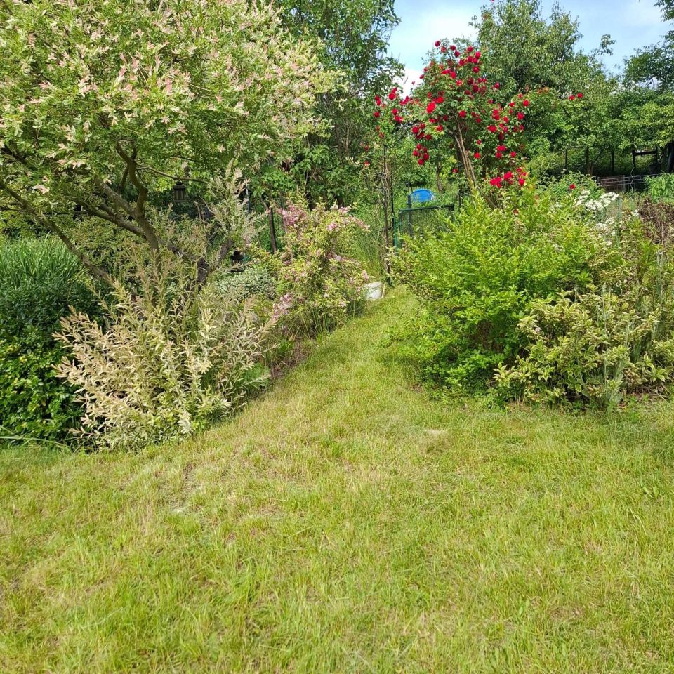 Działka rod Wrocław Krzyki, ul. Bardzka. Zdjęcie 2