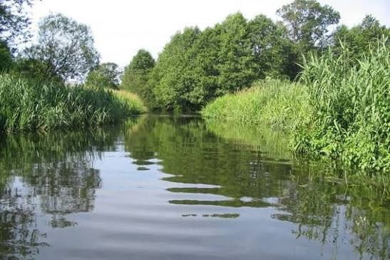 Działka rolno-budowlana Nowa Wieś. Zdjęcie 1