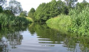 Działka rolno-budowlana Nowa Wieś