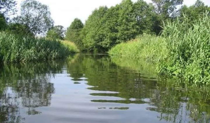 Działka rolno-budowlana Nowa Wieś