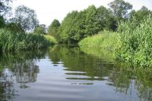 Działka rolno-budowlana Nowa Wieś