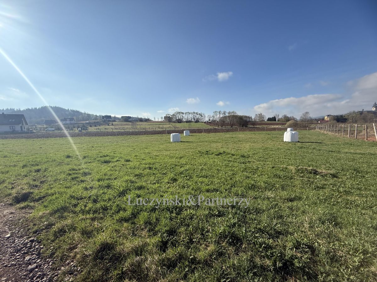 Działka inwestycyjna Krzeszów. Zdjęcie 7