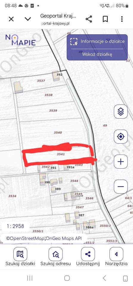 Działka rolno-budowlana Grodzisko Nowe. Zdjęcie 2