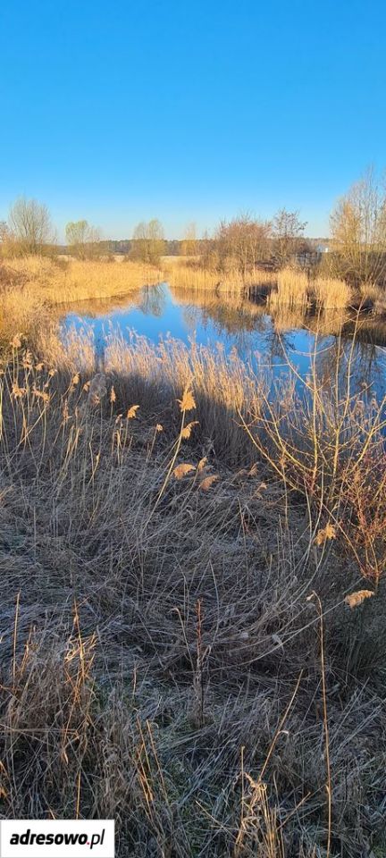 Działka inwestycyjna Grabów. Zdjęcie 4