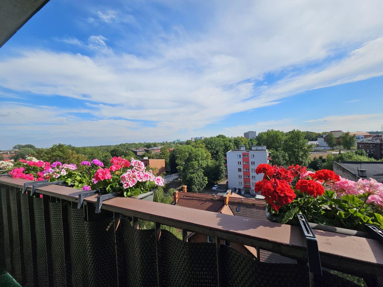 Mieszkanie 3-pokojowe Bytom Rozbark, ul. Jana Kochanowskiego. Zdjęcie 9