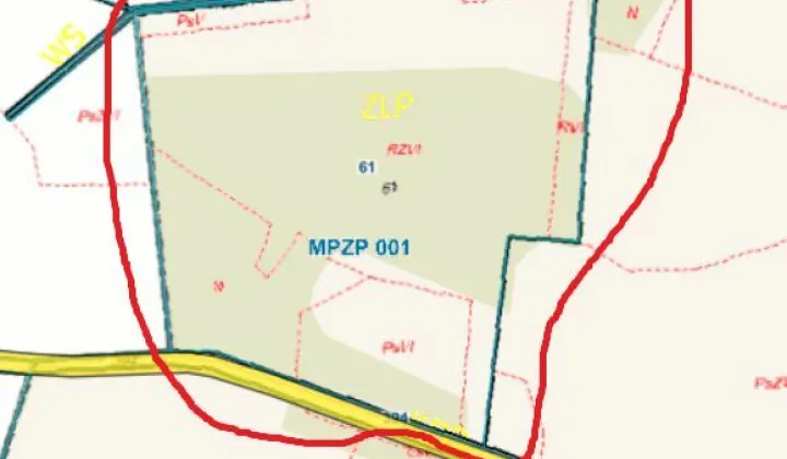 Działka leśna Piątkowizna