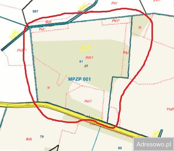 Działka leśna Piątkowizna. Zdjęcie 1