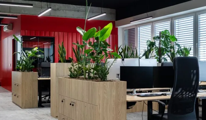 Biuro Katowice Brynów, ul. Ligocka