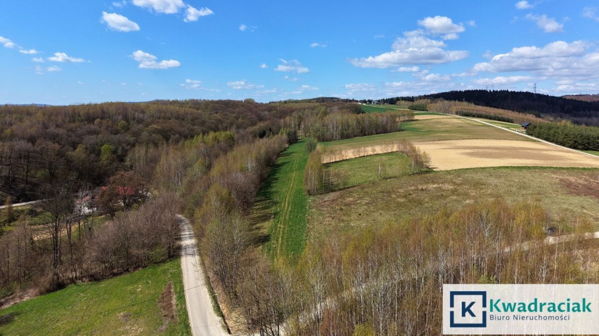Działka rolna Lublica. Zdjęcie 6