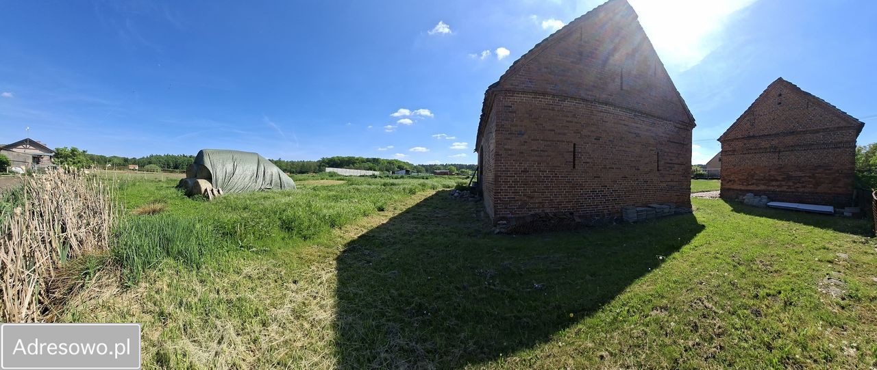 Działka siedliskowa Trzebania. Zdjęcie 13
