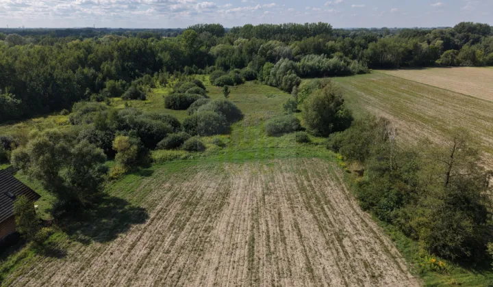 Działka inwestycyjna Jaktorów-Kolonia, ul. Generała Dreszera