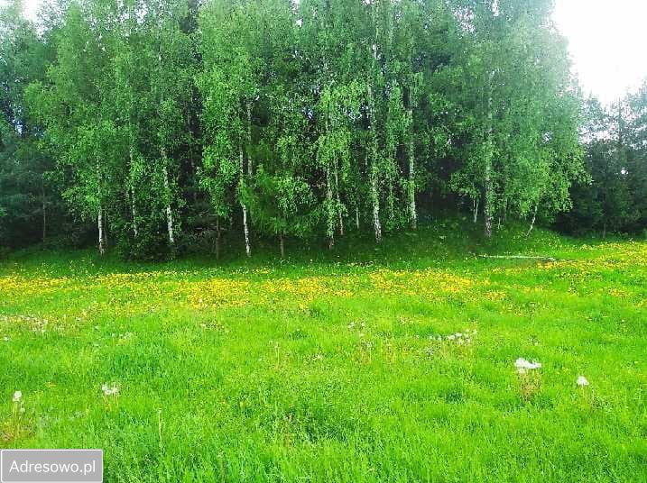Działka budowlana Raczki. Zdjęcie 3