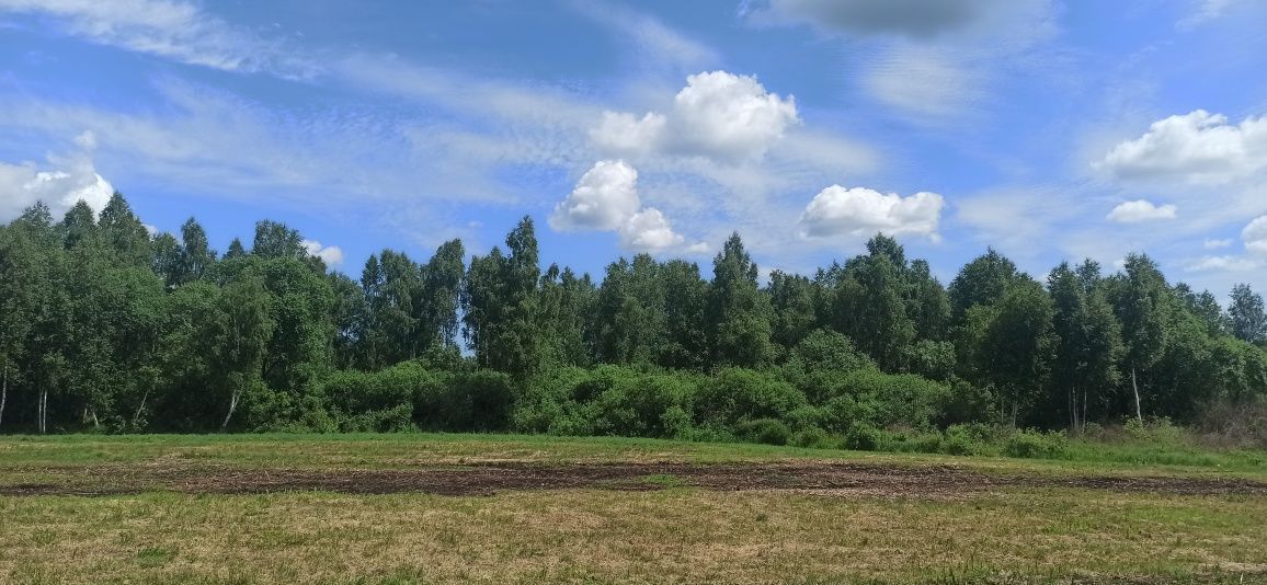 Działka rolna Mazuchówka